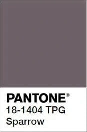 kolor-sparrow